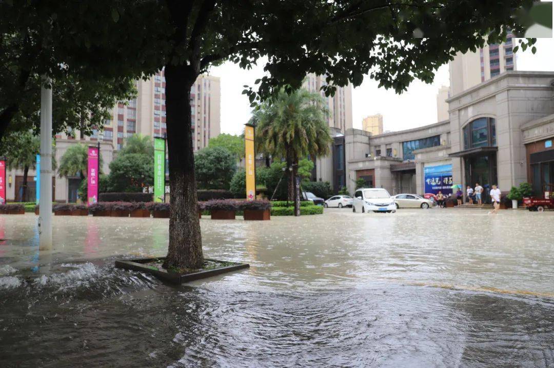 连续暴雨致城区多处内涝 庐山市多部门联合行动