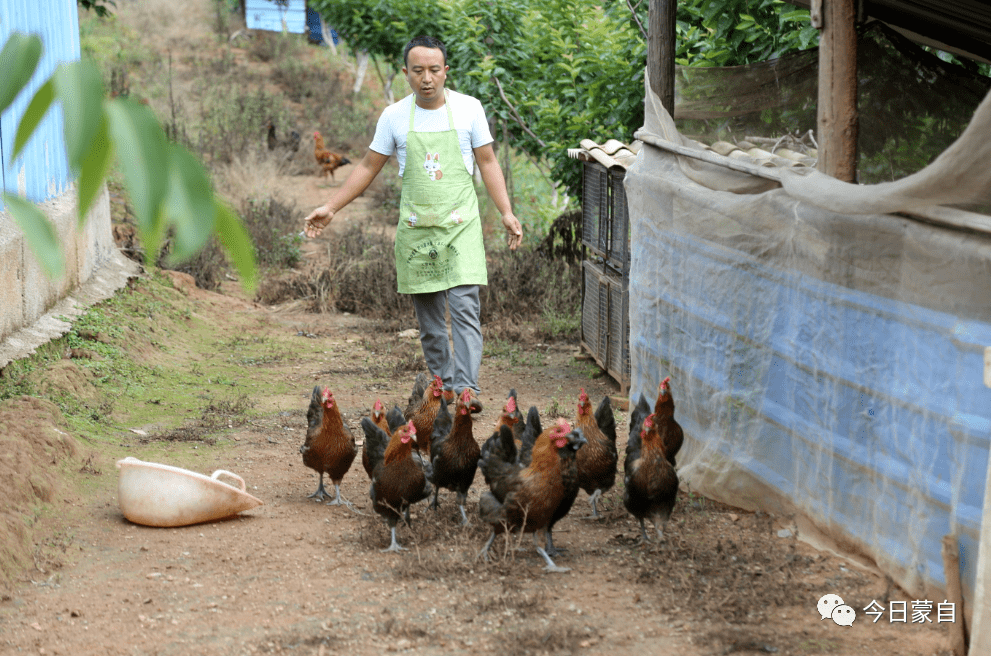 逛胜地享特色蒙自查尼皮悄然兴起农家乐热潮