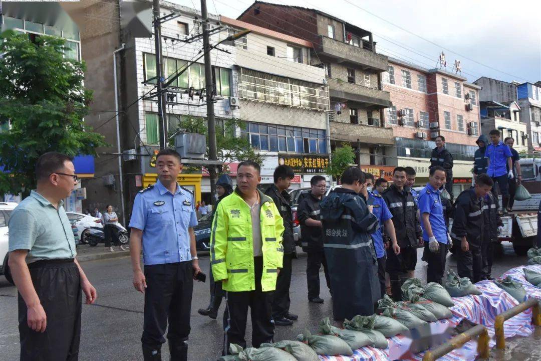 英山李向阳局长图片