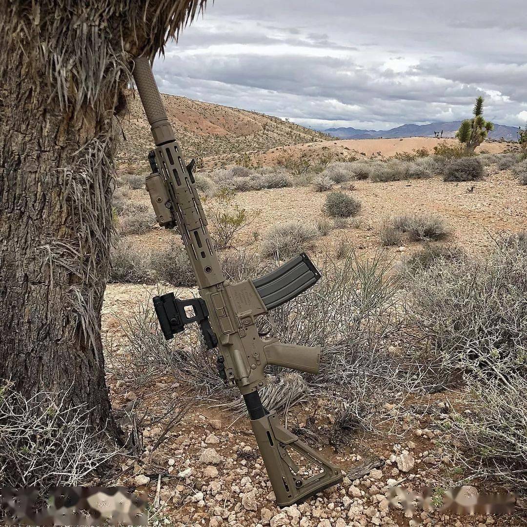 【kac骑士公司美图】骚年还记得闻名遐迩的sr25么