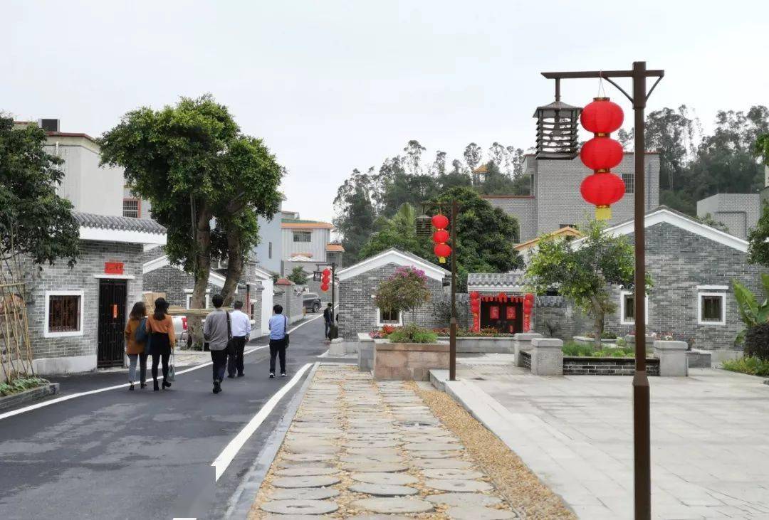 斗门这条村将登上省级电视台代表珠海打擂台