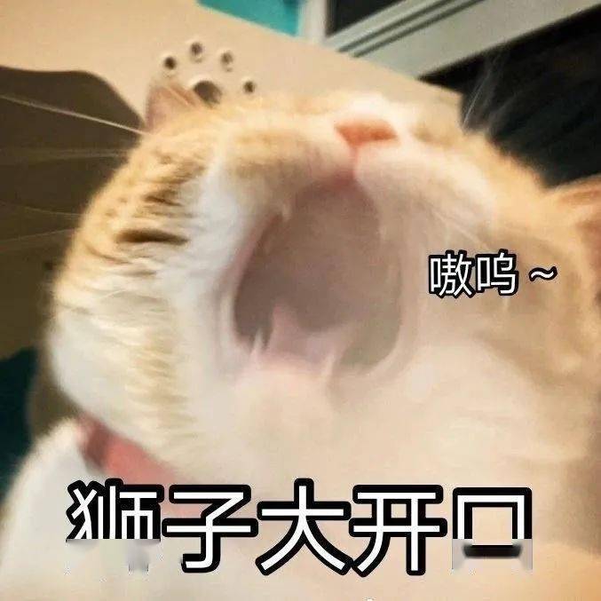 狮子大开口_表情