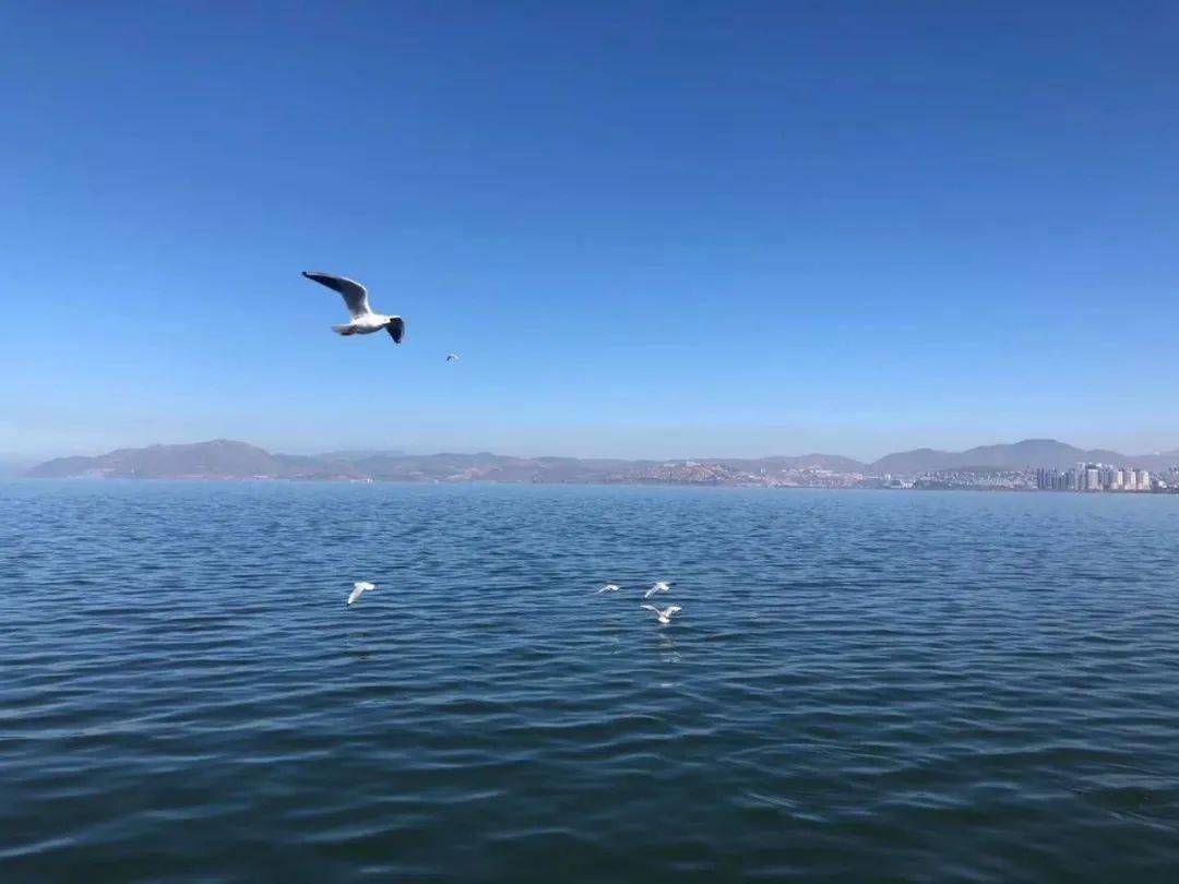 男人成熟的六个等级你属于第几等写得真好