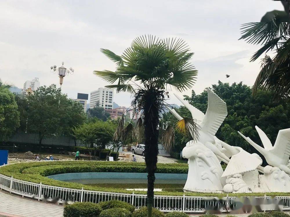 近日 三明市区又有多处公园绿地 老年儿童微游乐场开始施工建设 不