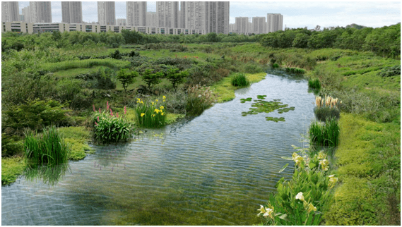 二十埠河水生态修复 平台声明