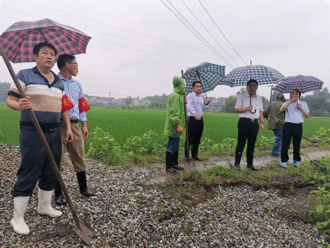 县委常委,常务副县长程从春在石牌镇深入一线指导防汛救灾工作