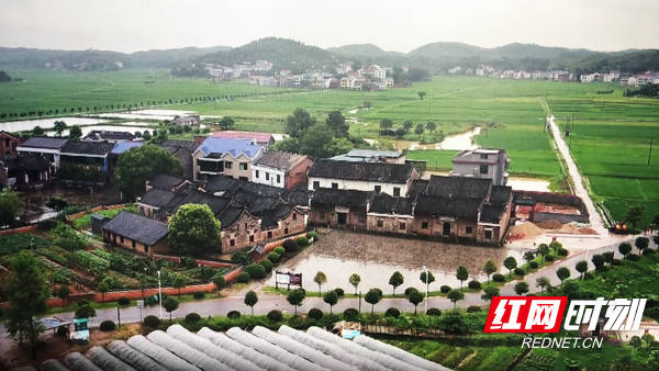 衡东:"以红带绿"助推锡岩村全面脱贫