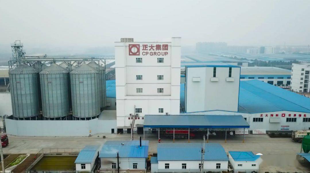 总结过去规划未来随州正大生产部阶段性总结