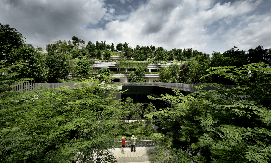 新国大北大nirmal与俞孔坚告诉你什么是生态针灸分享