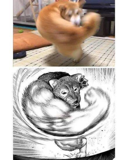 连动物都有肌肉了而我还没有