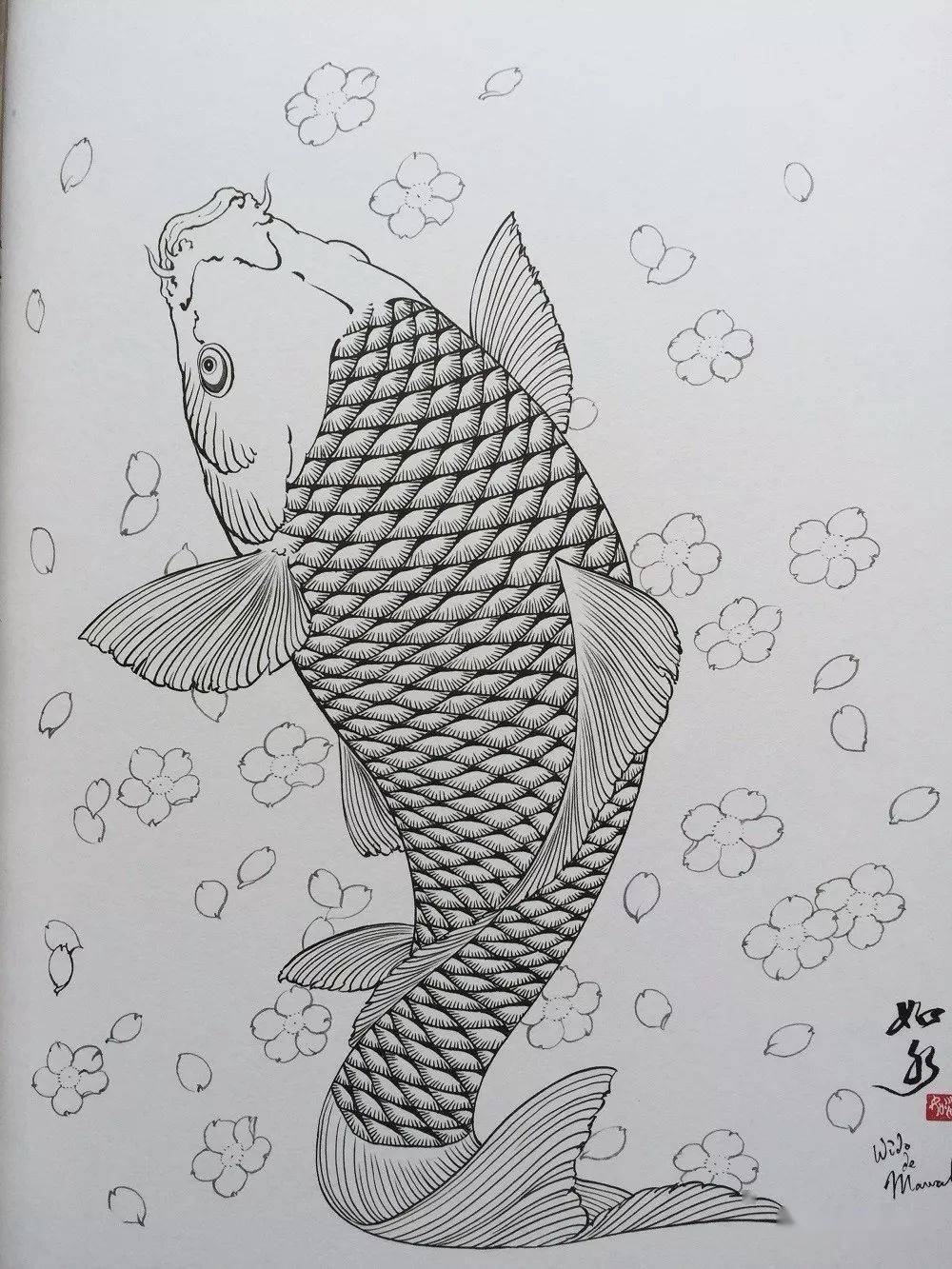 鲤鱼画法铅笔图片
