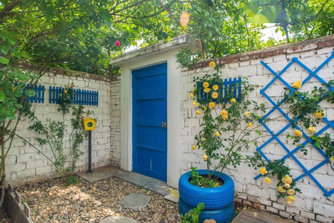 【关注】美翻了!破旧农村小院变身"时光花房"