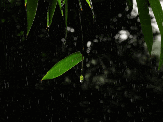 湖南雨水逐步减弱 15日起迎新一轮降水