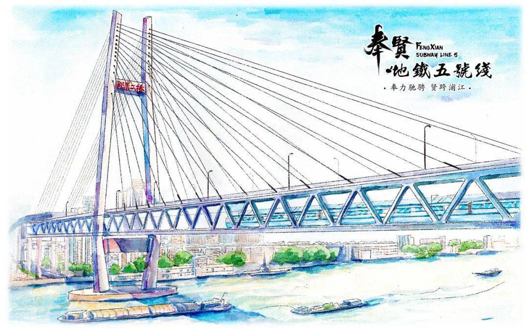 杨浦大桥画图片