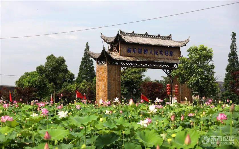 新后屠桥村,在海曙区集市港镇,距离市区不远.