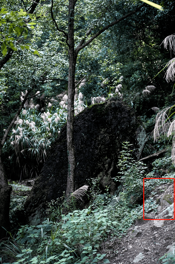 吓人诸暨发现一座蛇山好多好多蛇