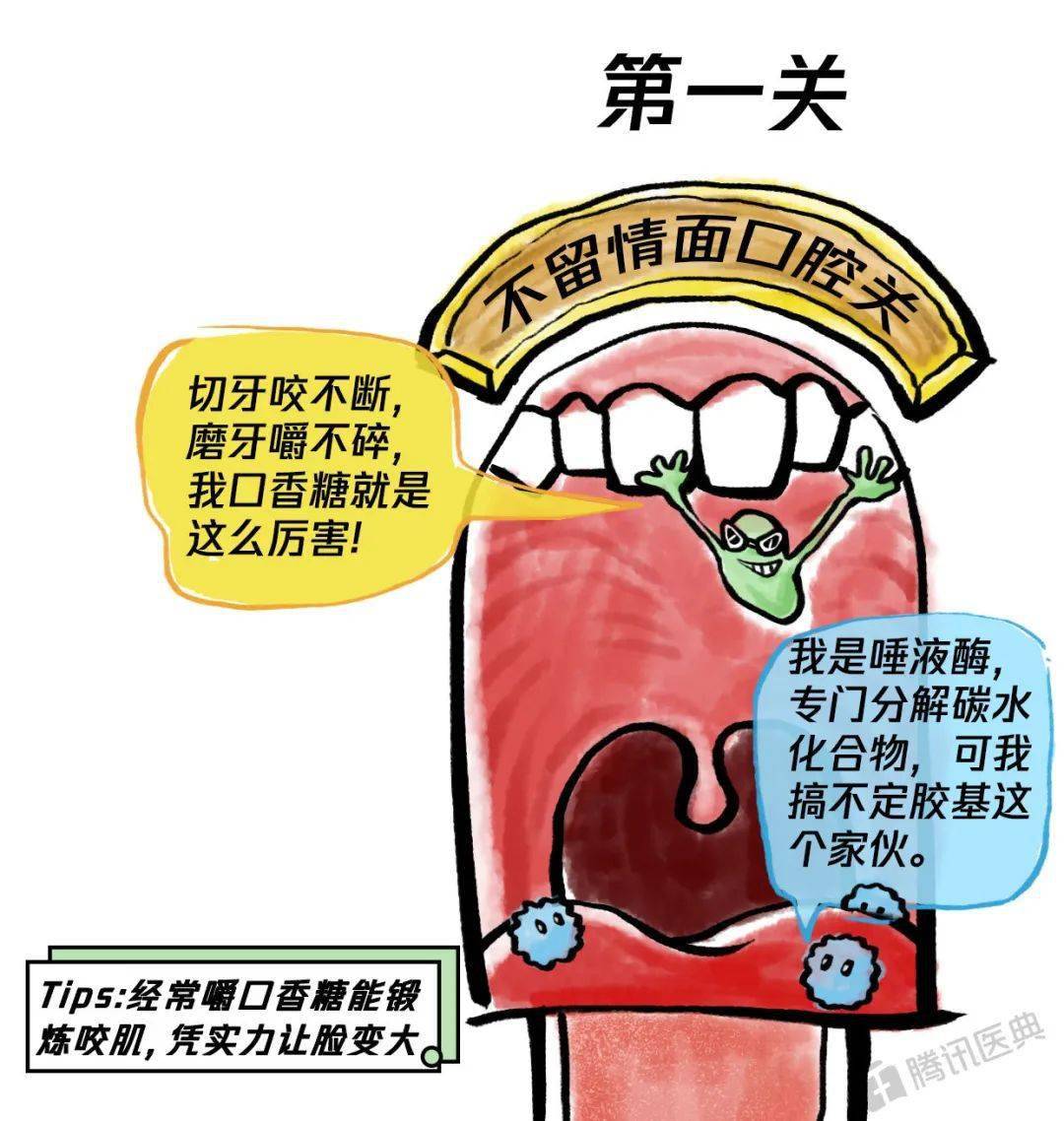 吓死我了一不小心吞了口香糖会怎么样