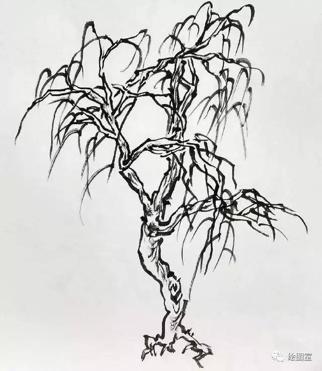 工笔柳树画法图片