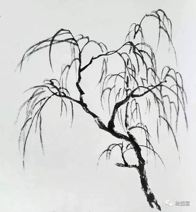 国画杨柳树的画法图片