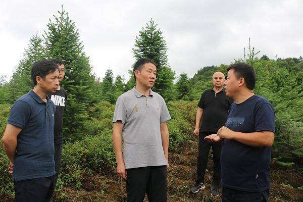 茹捷到大地乡调研产业选址情况