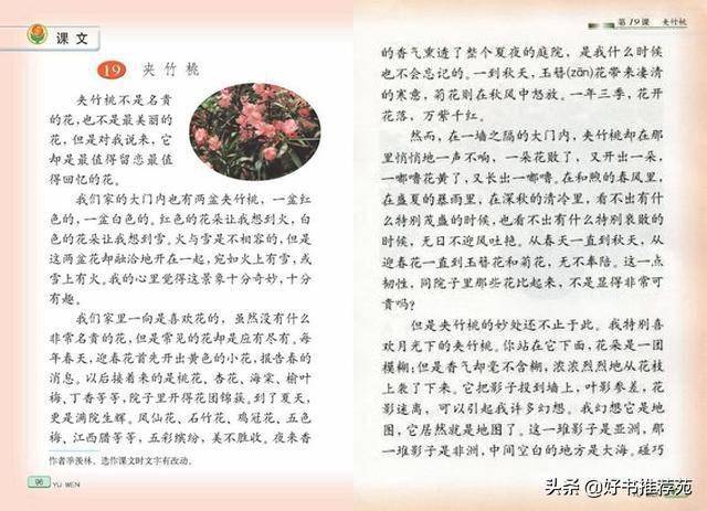 作者季羡林,相信很多人在小的时候就知道他的大名,一篇《夹竹桃》让