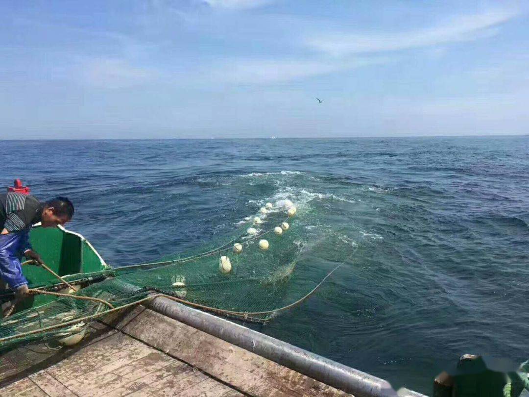 暑期玩鲜的出海捕鱼沙滩踏浪海鲜饕餮盛宴我们全部带你去