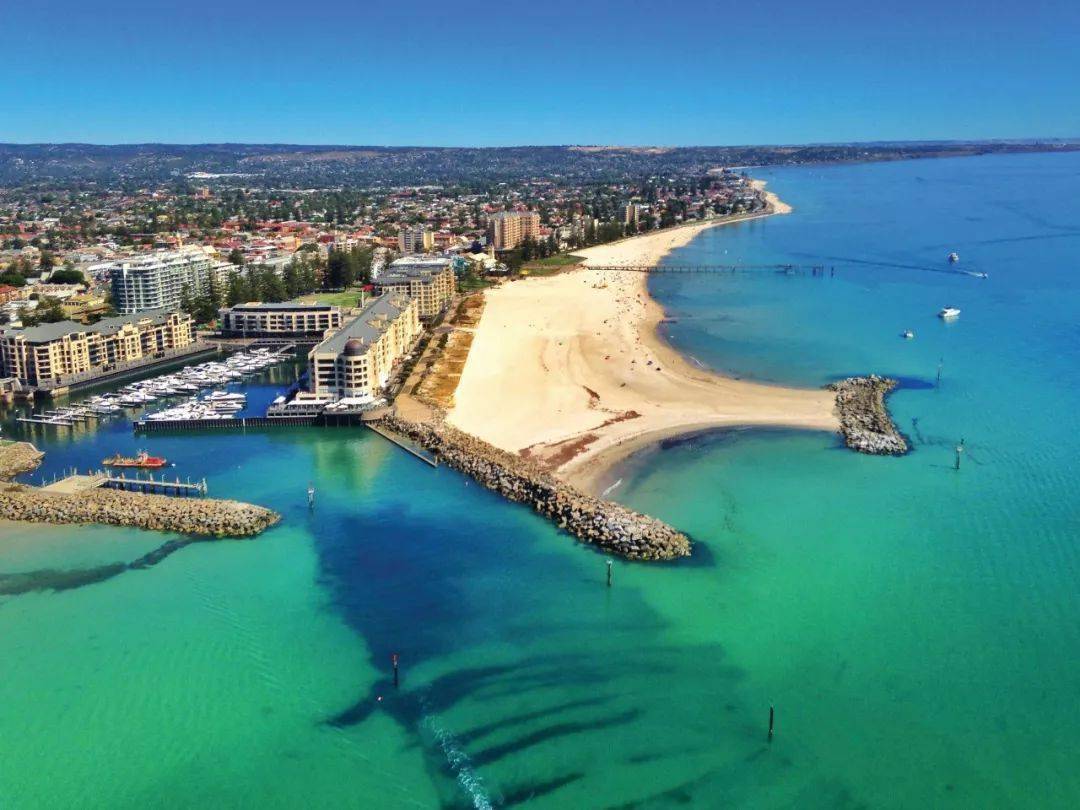 南澳巴罗萨百年老藤寻宝