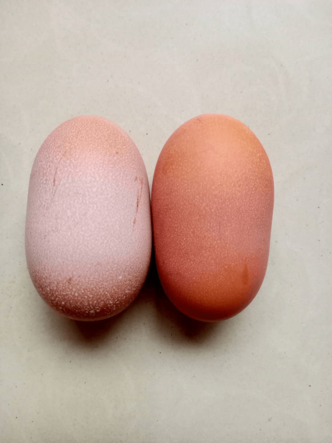 网友爆料:老家奶奶给孩子拿来的鸡蛋,发现两枚畸形,孩子看了哈哈大笑!