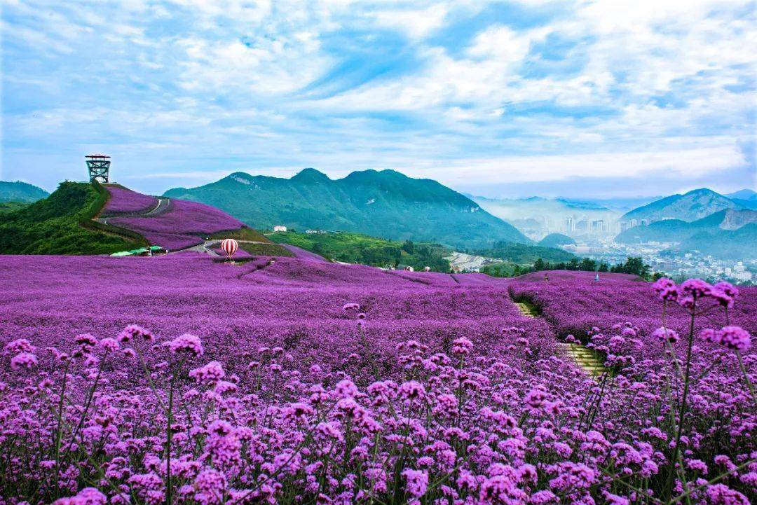 貴州這個地方有森林花海水上樂園崖景小木屋暑假出遊太太太好玩了