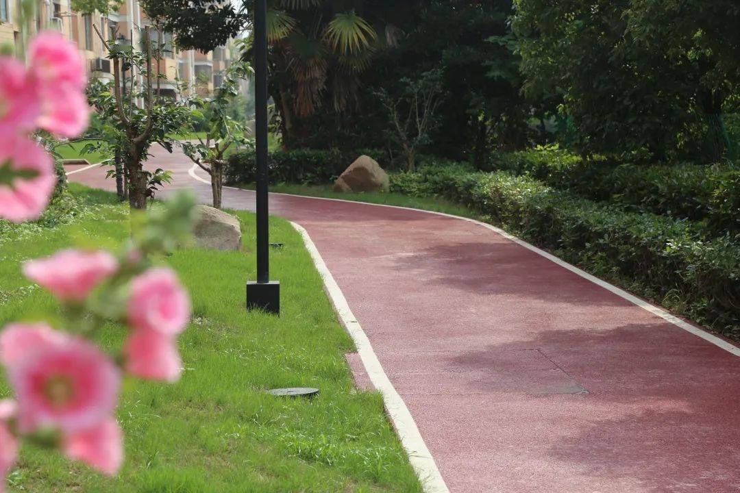 奉浦居民 家门口的这些步道你都跑过吗?