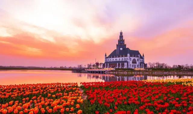 盐城荷兰花海水韵龙湾一日游一价全含