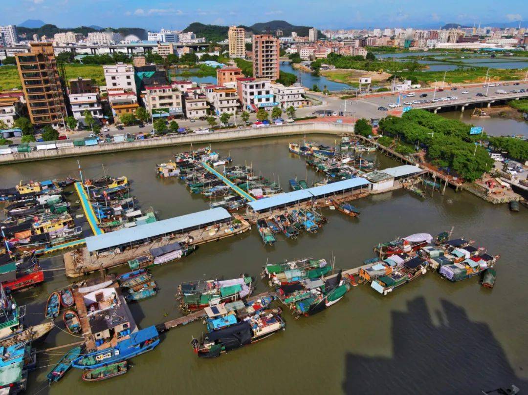 【岁月如歌】带您探寻虎门新湾的宝藏——那张流传了"1000多年的网"!