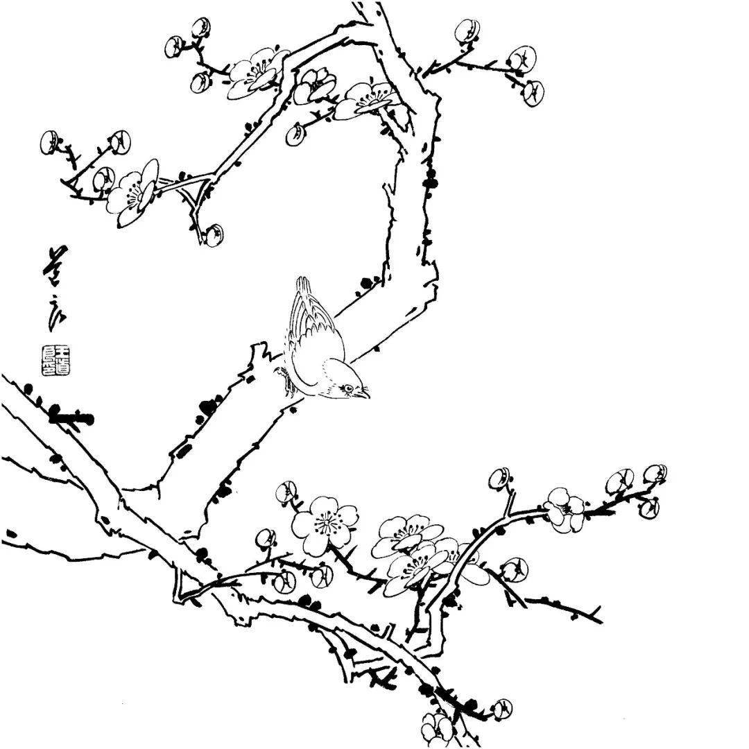 花鸟的白描,就应该这么画