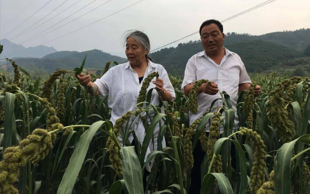 朱安妮老师:好的,非常感谢你们的邀请,我也正好希望有一个机会把我对