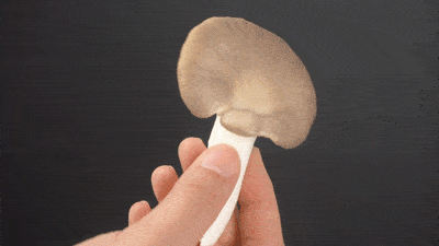 400_225gif 动态图 动图