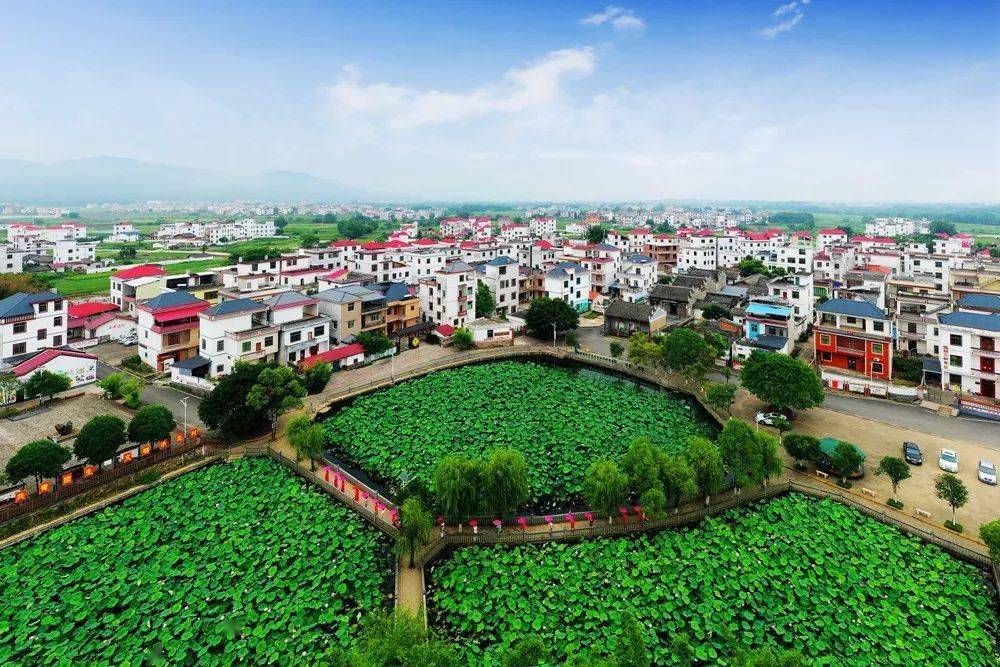 大余这个乡村拟入选全国乡村旅游重点村名录!