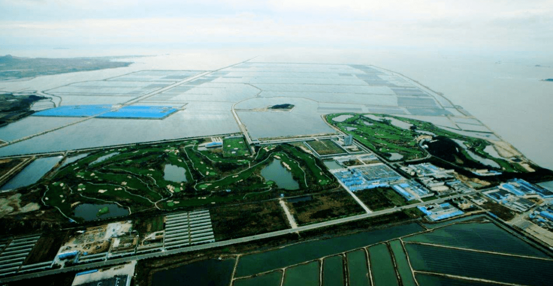 好海参源自好环境丨走进好当家天海湾海洋牧场