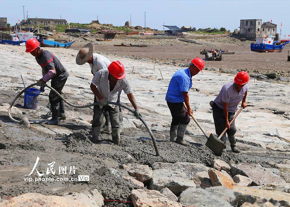 工程工地上,工人们战高温候潮在灌砌石中填筑混凝土,确保海堤安全度汛