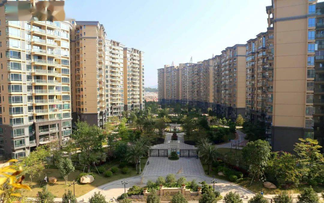 怎么回事最近很多摄影师摄影家都围着佛冈篁胜新城拍拍拍