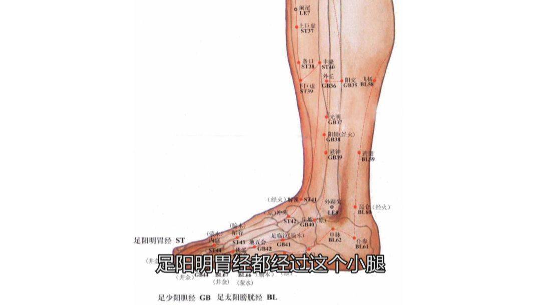 人老腿先衰小腿是人体第二心脏专家教你这几招来保养