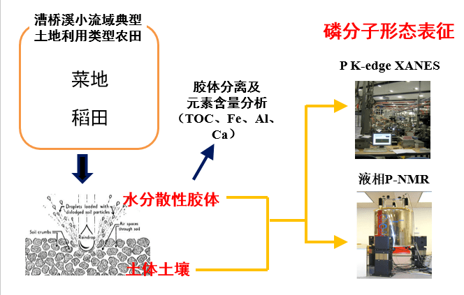 浙江大学梁新强教授团队:土壤胶体磷储存与流失阻控
