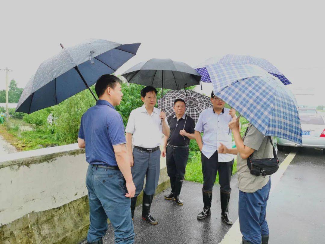 张业锁率队赴巢湖督导防汛救灾工作.