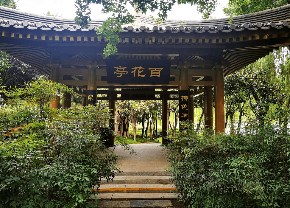 亭亭玉立曲江池