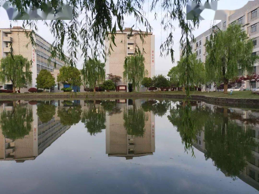 广德市实验中学2020年招生简章