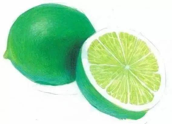 彩铅教程 | 清淡多汁的青柠檬 画法步骤