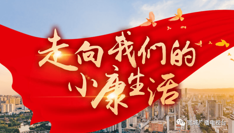 走向我们的小康生活大棚里面采摘忙