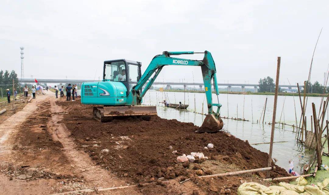 在巢湖市中垾鎮柘皋河大堤,一臺挖掘機正在進行堤壩加固作業.