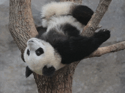 昆山度假套餐低至￥399,乌镇,周庄酒店4折起!_活动