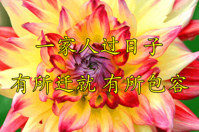 咱一家人
