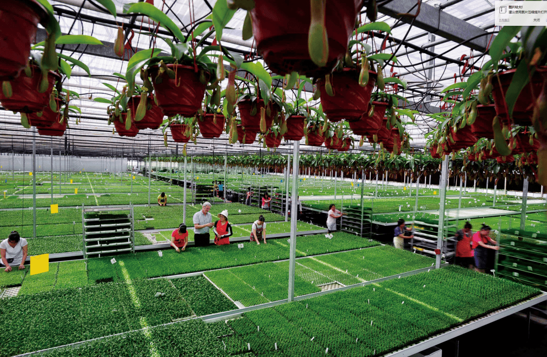 地址:上海市浦东新区书院镇东海农场振东路2号